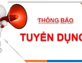 Nhân viên chuyên lắp đặt thiết bị.